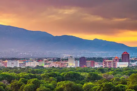 New Mexico Asbestos Information